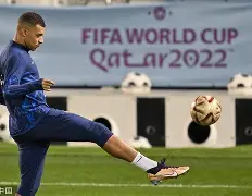 阿尔马达回归博塔弗戈参加世俱杯